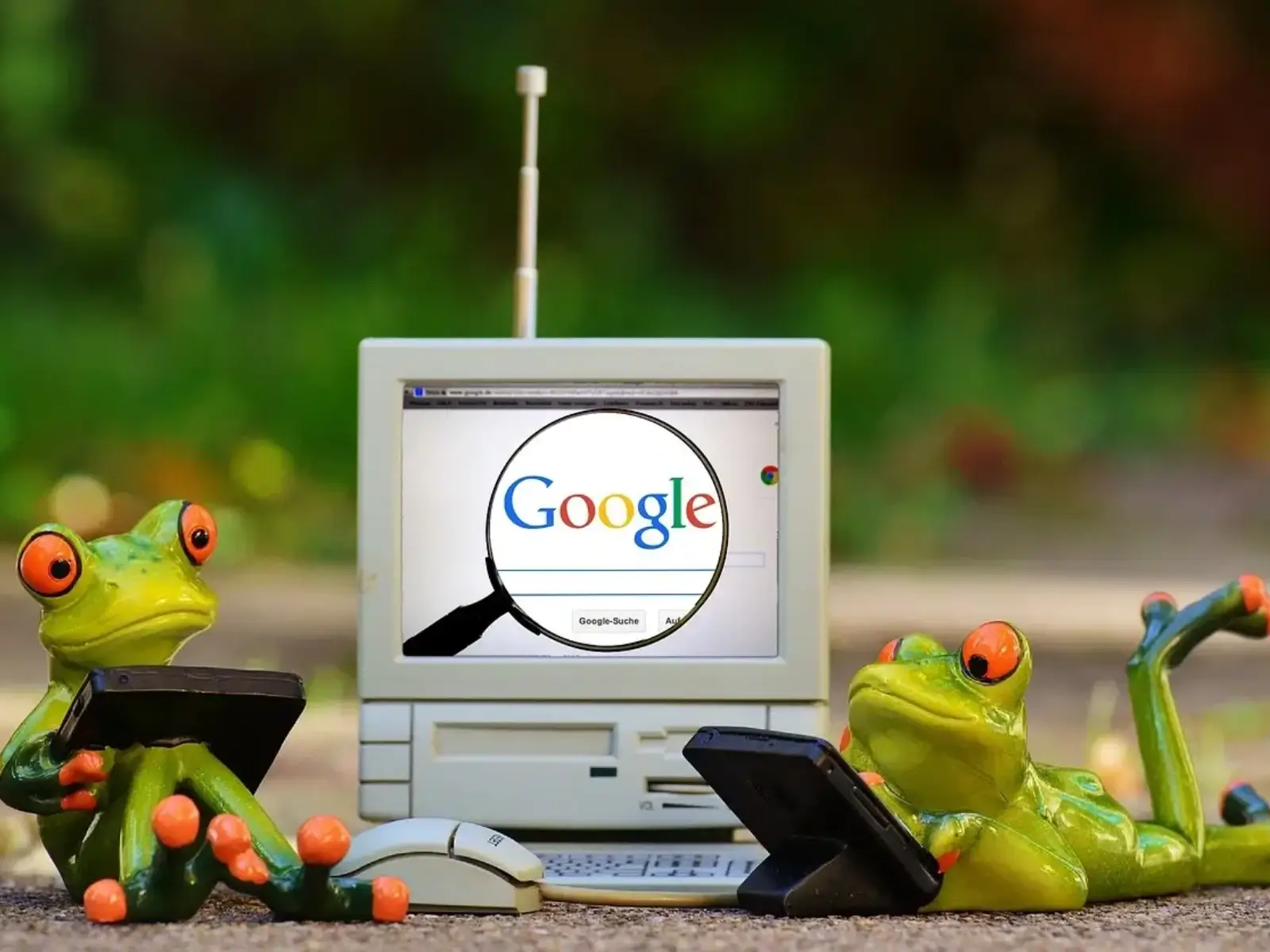 Google Meu Negócio: Dicas Para Otimização e Fotos do Seu Perfil